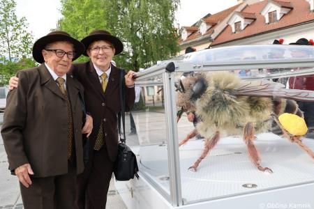 Čebela velikanka potuje po Kamniku (16)